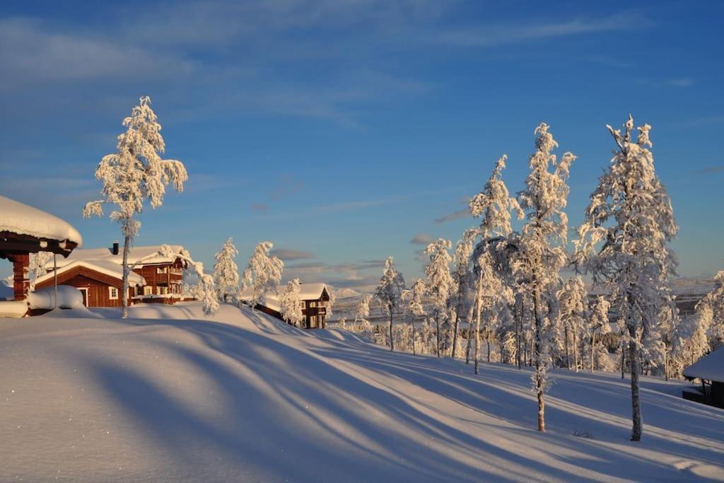 Flott Fritidsleilighet I Bualie Pa Golsfjellet Kültér fotó