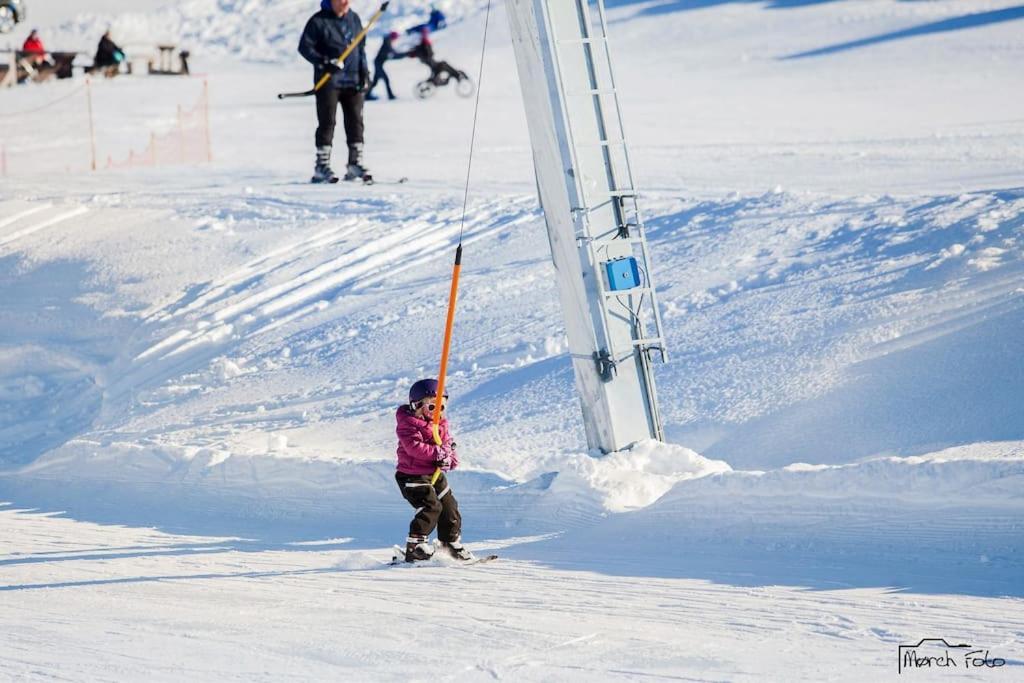 Flott Fritidsleilighet I Bualie Pa Golsfjellet Kültér fotó